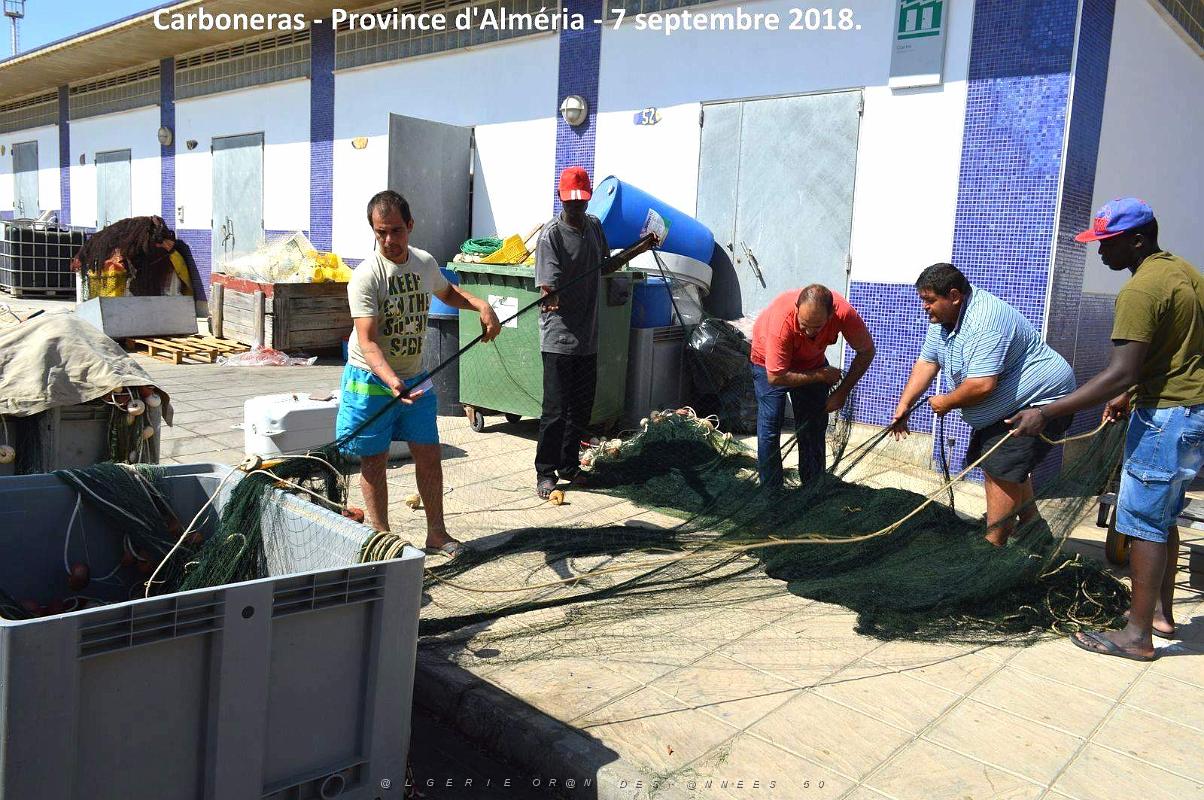 12 CARBONERAS - PROVINCE D ALMERIA 7 09 2018 (15).JPG